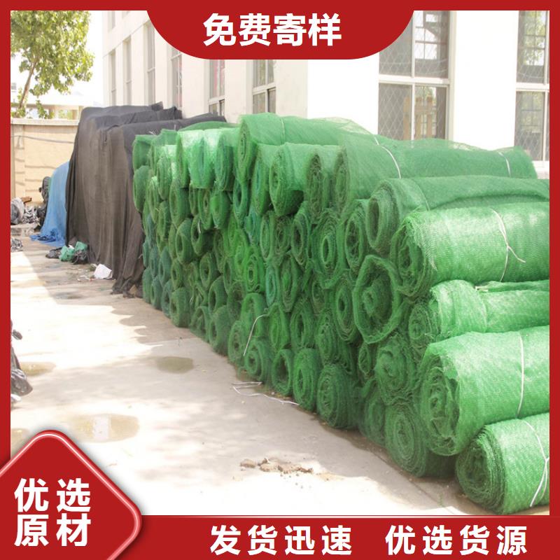 三维植被网加筋麦克垫多年实力厂家