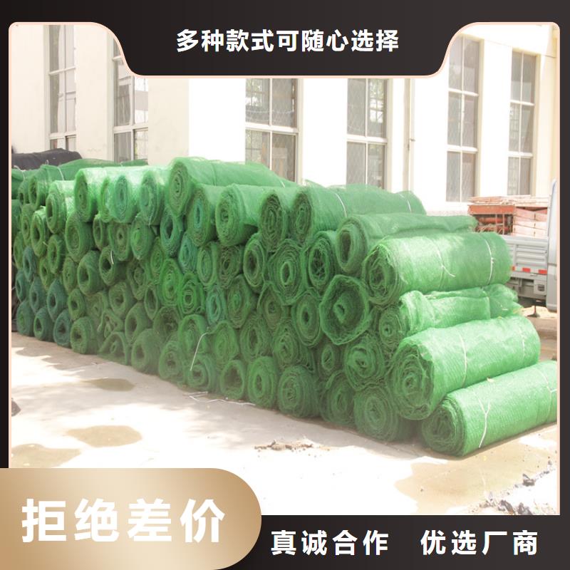 三维植被网加筋麦克垫多年实力厂家