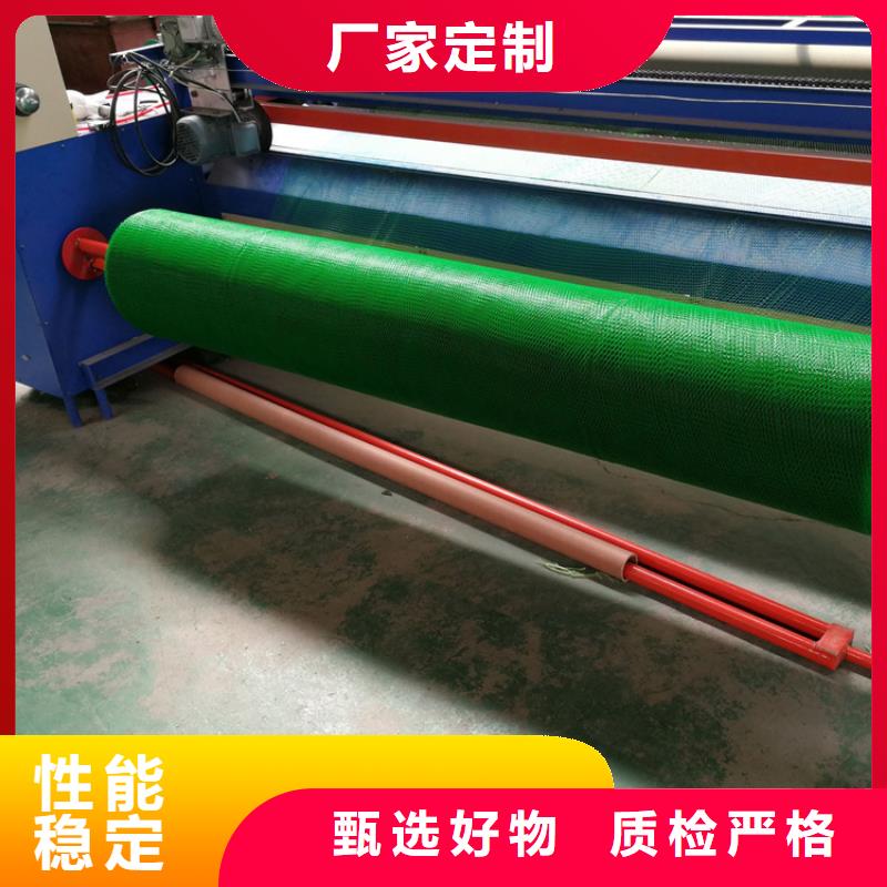 三维植被网加筋麦克垫高性价比