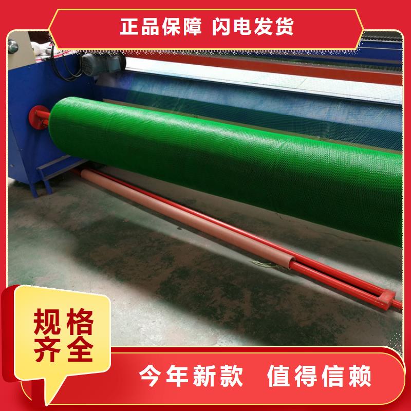 三维植被网加筋麦克垫多年实力厂家