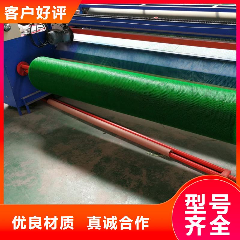 三维植被网加筋麦克垫多年实力厂家
