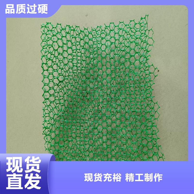 三维植被网加筋麦克垫多年实力厂家