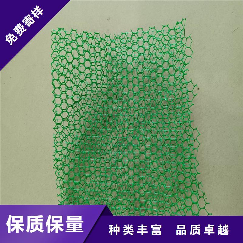 三维植被网加筋麦克垫多年实力厂家