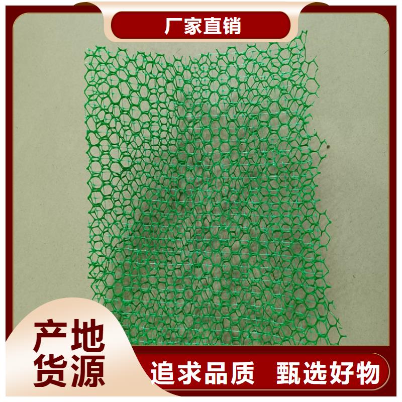 三维植被网-土工网用心细节
