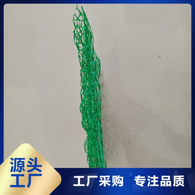 三维植被网加筋麦克垫多年实力厂家