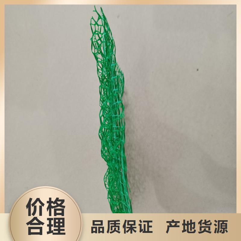 三维植被网三维土工网专注生产N年