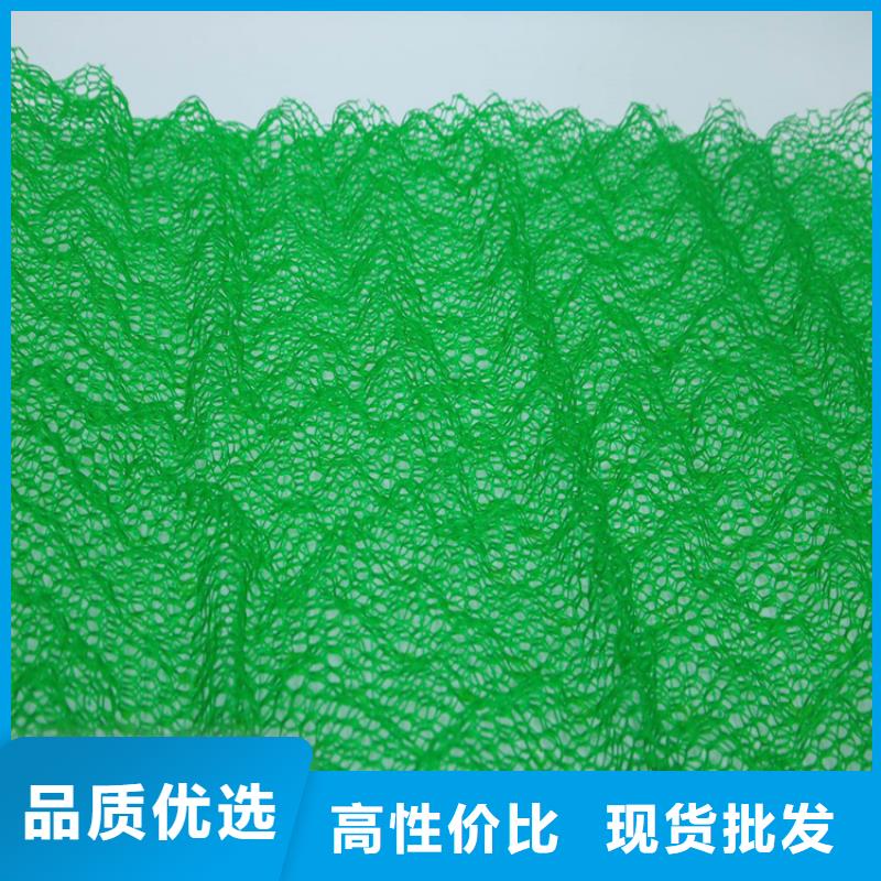 三维植被网加筋麦克垫多年实力厂家