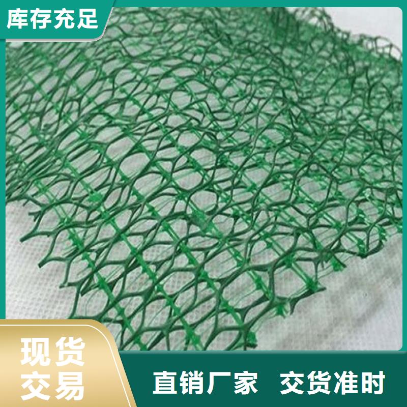 三维植被网三维土工网专注生产N年