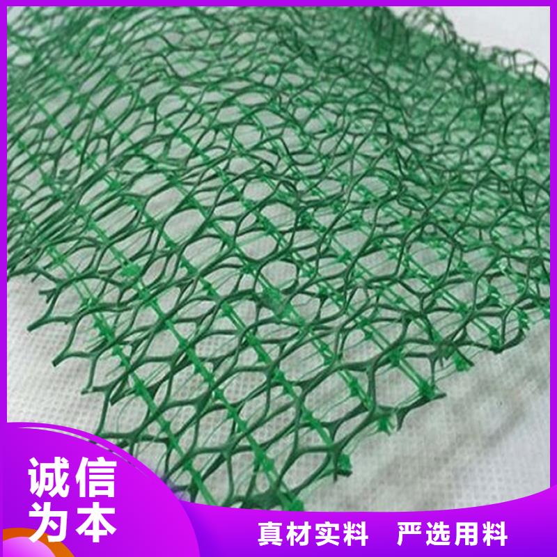 三维植被网加筋麦克垫多年实力厂家