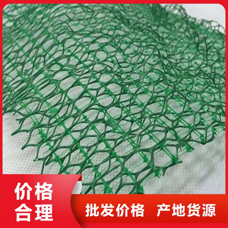 三维植被网加筋麦克垫多年实力厂家