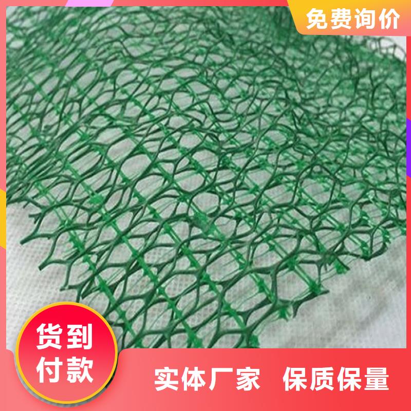 三维植被网三维土工网专注生产N年