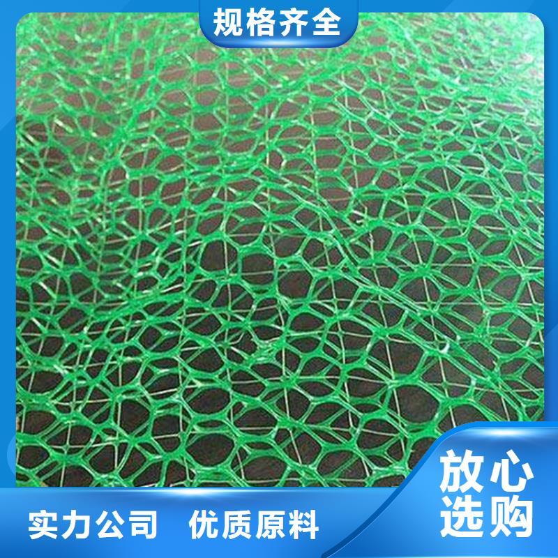三维植被网加筋麦克垫高性价比