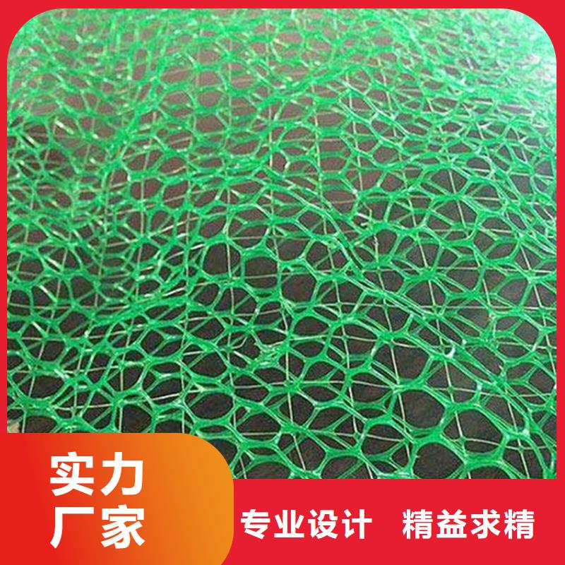 三维植被网三维土工网专注生产N年