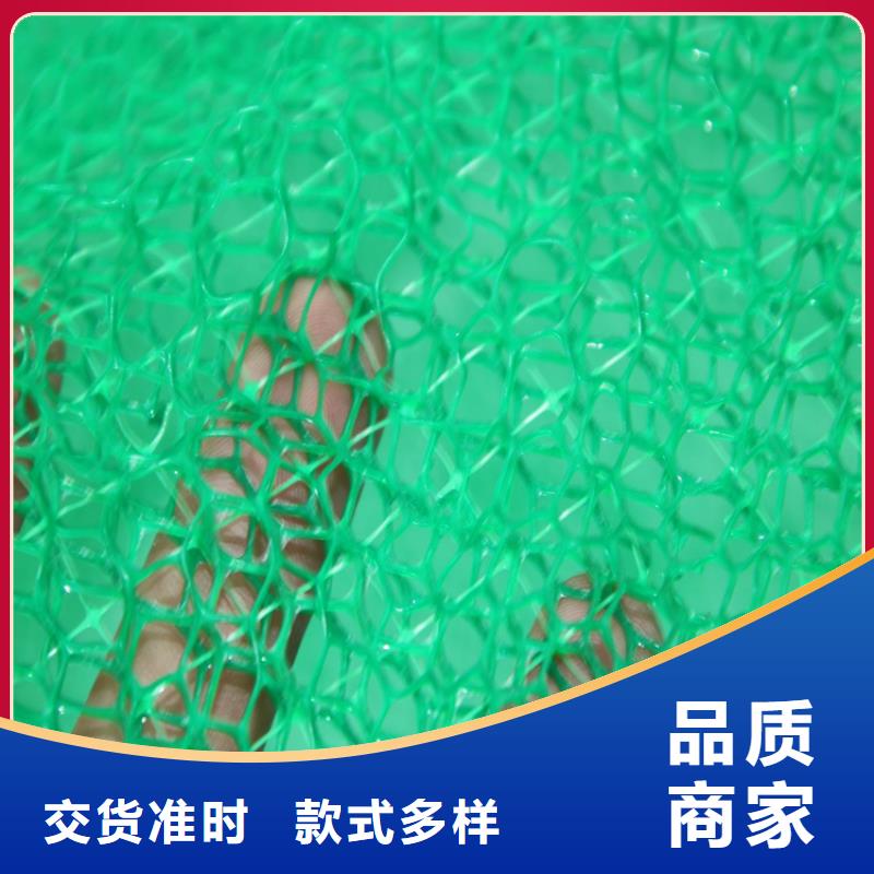 三维植被网-土工网用心细节