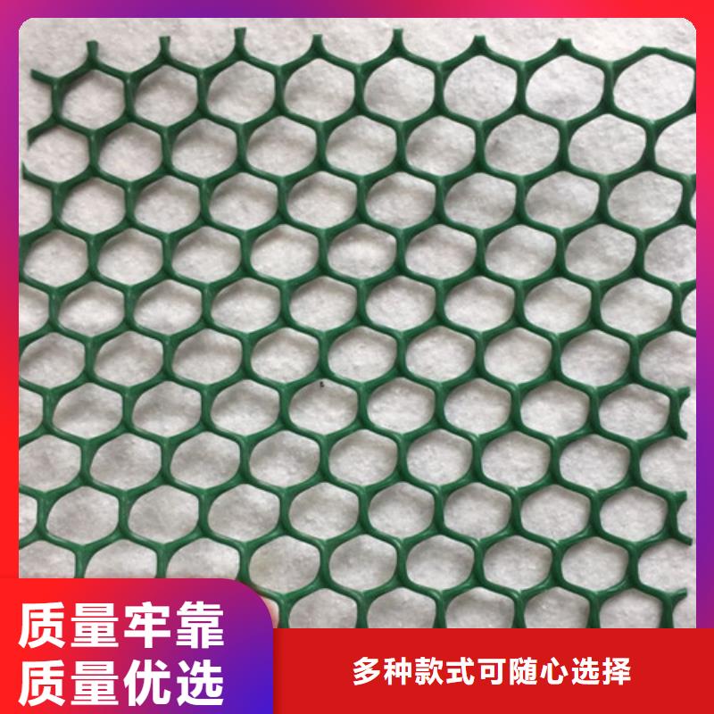三维植被网加筋麦克垫多年实力厂家