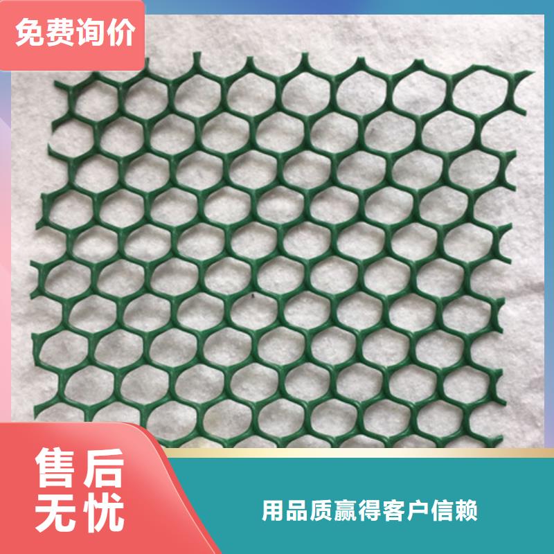 三维植被网三维土工网专注生产N年