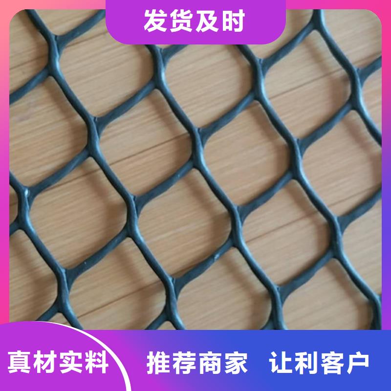 三维植被网三维土工网专注生产N年