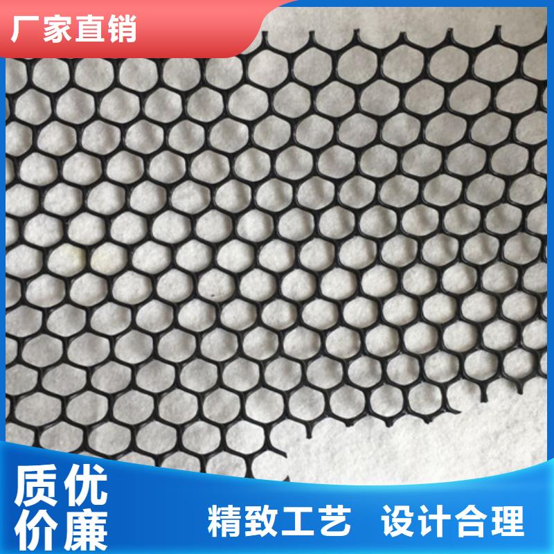 三维植被网三维土工网专注生产N年