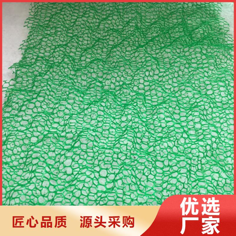 三维植被网加筋麦克垫多年实力厂家