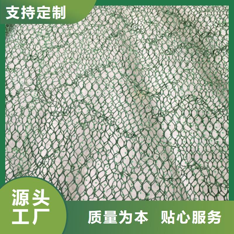 三维植被网三维土工网专注生产N年