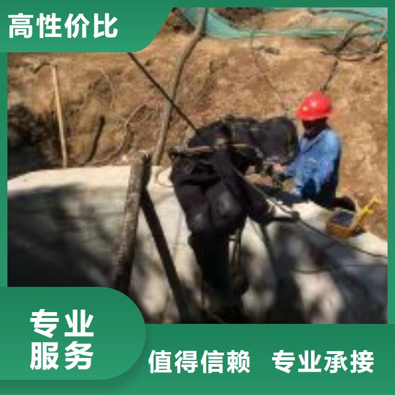 潜水员_水下堵漏施工队多年行业经验