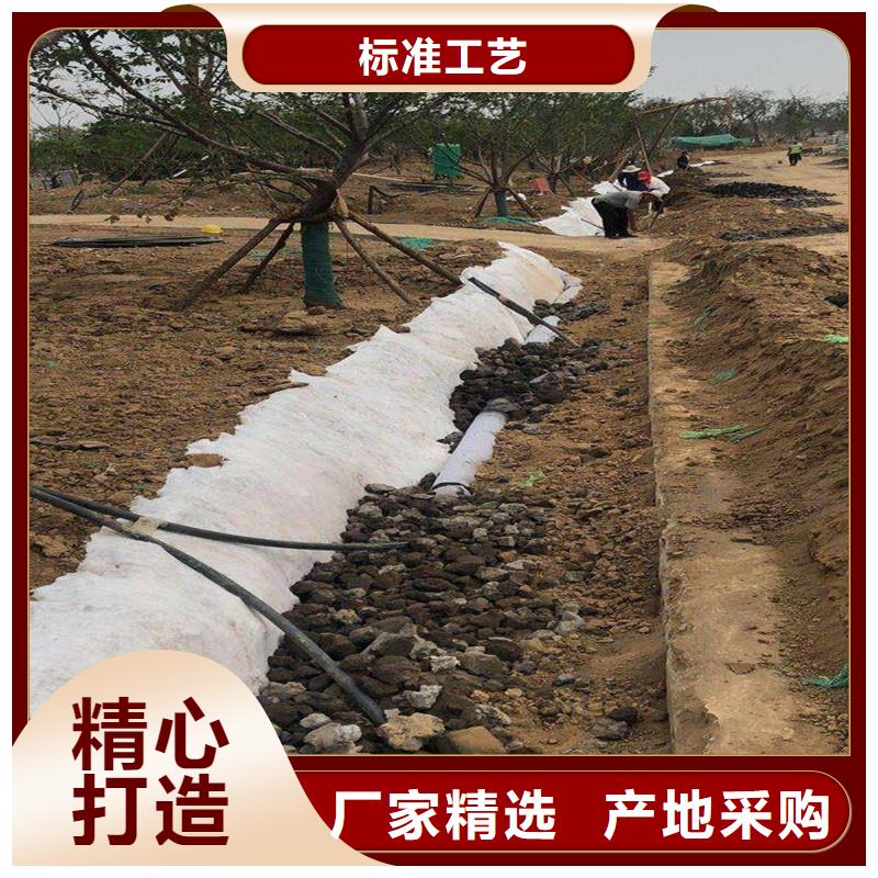 塑料盲沟来电咨询价格实惠