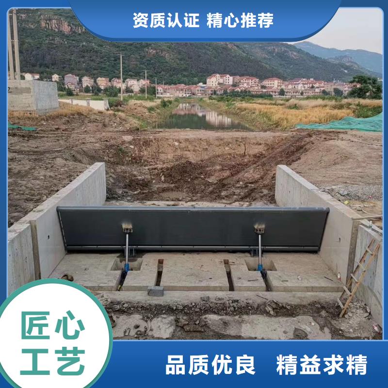 翻板闸门精工制作