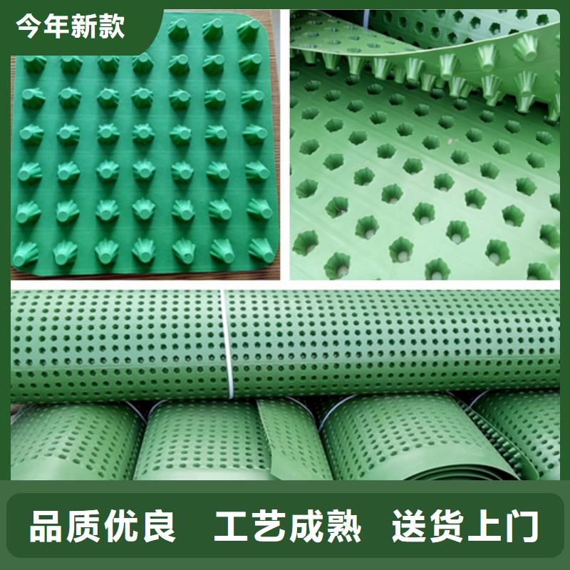 排水板_防护虹吸排水收集系统细节展示