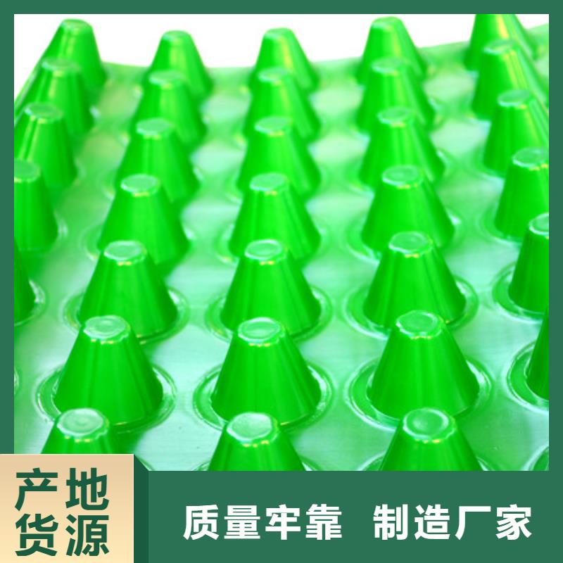 排水板_防护虹吸排水收集系统细节展示