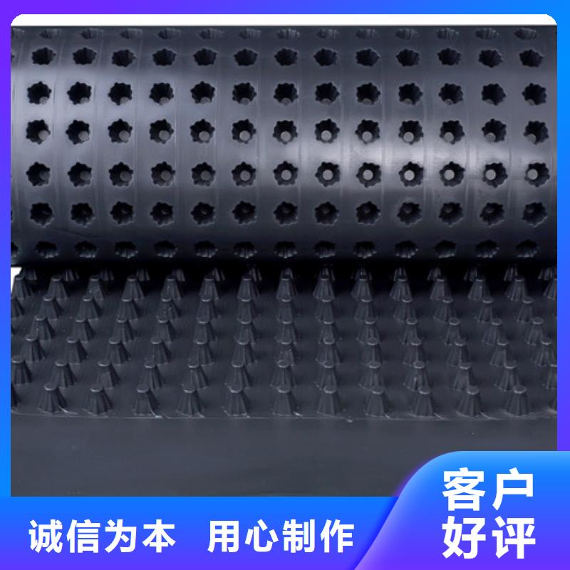 排水板_防护虹吸排水收集系统细节展示