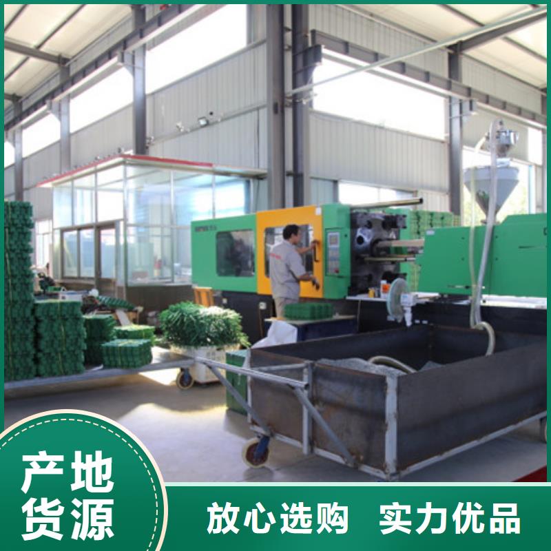 植草格_车库虹吸排水系统好品质售后无忧