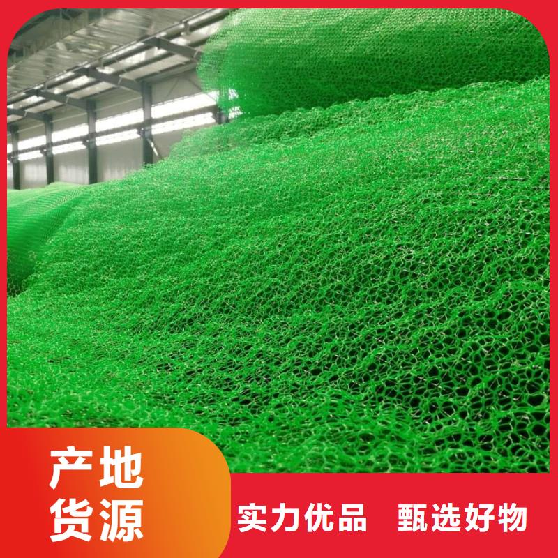 三维植被网 排水板价格有优势