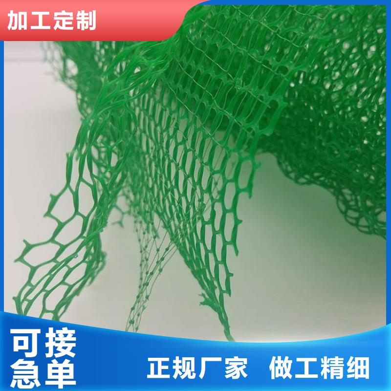 三维植被网 排水板价格有优势