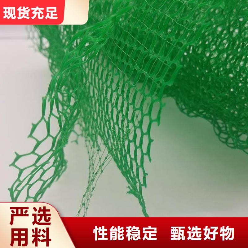 三维植被网 排水板价格有优势