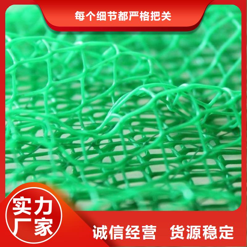 三维植被网 排水板价格有优势