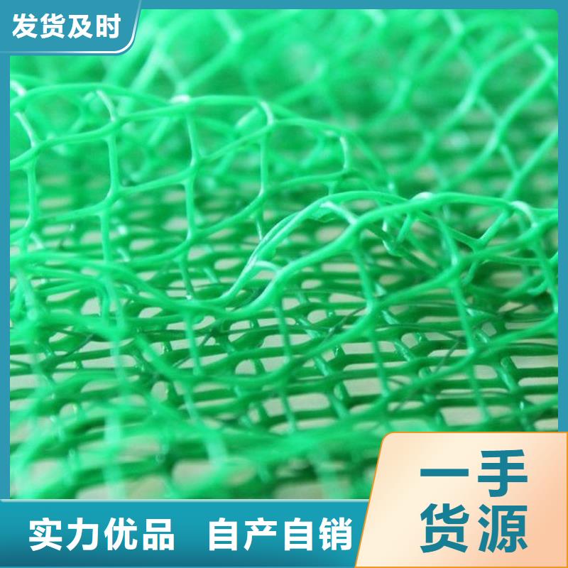 三维植被网 排水板价格有优势
