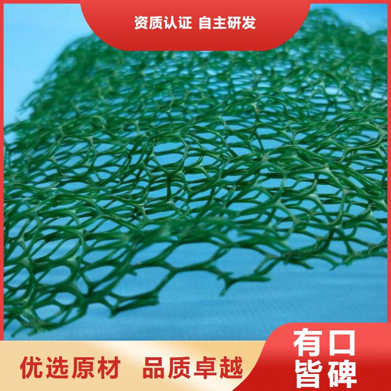 三维植被网 排水板价格有优势