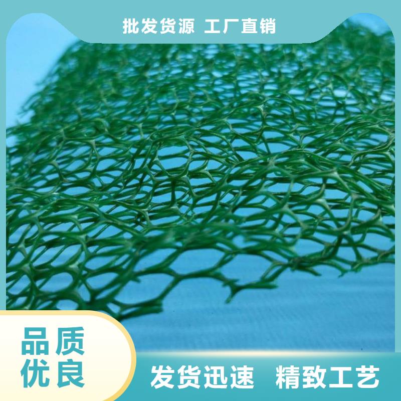 三维植被网 排水板价格有优势