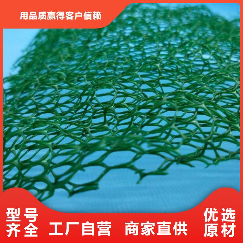 三维植被网 排水板价格有优势