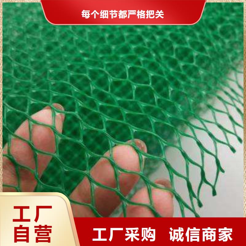 三维植被网 排水板价格有优势