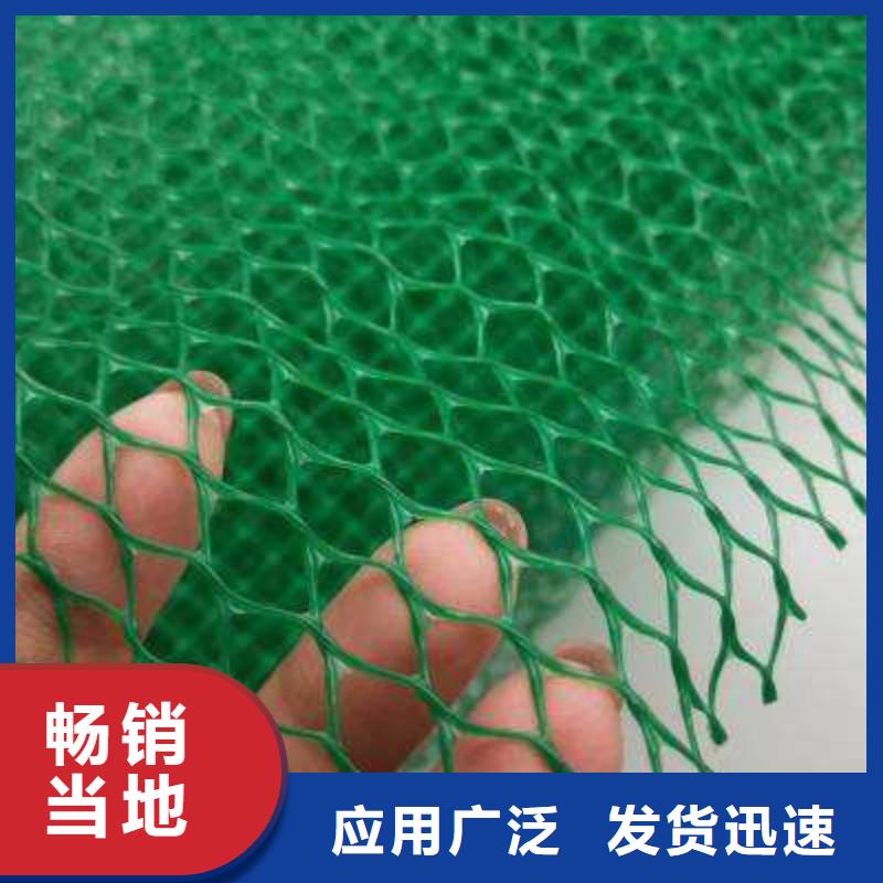 三维植被网 排水板价格有优势