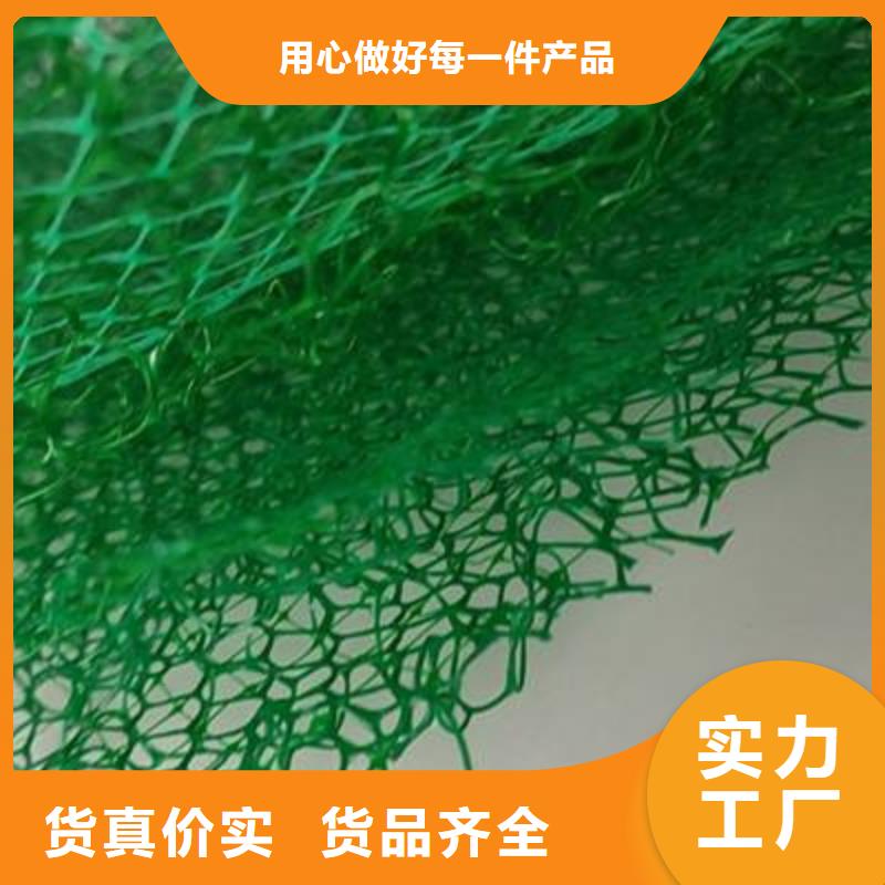 三维植被网 排水板价格有优势