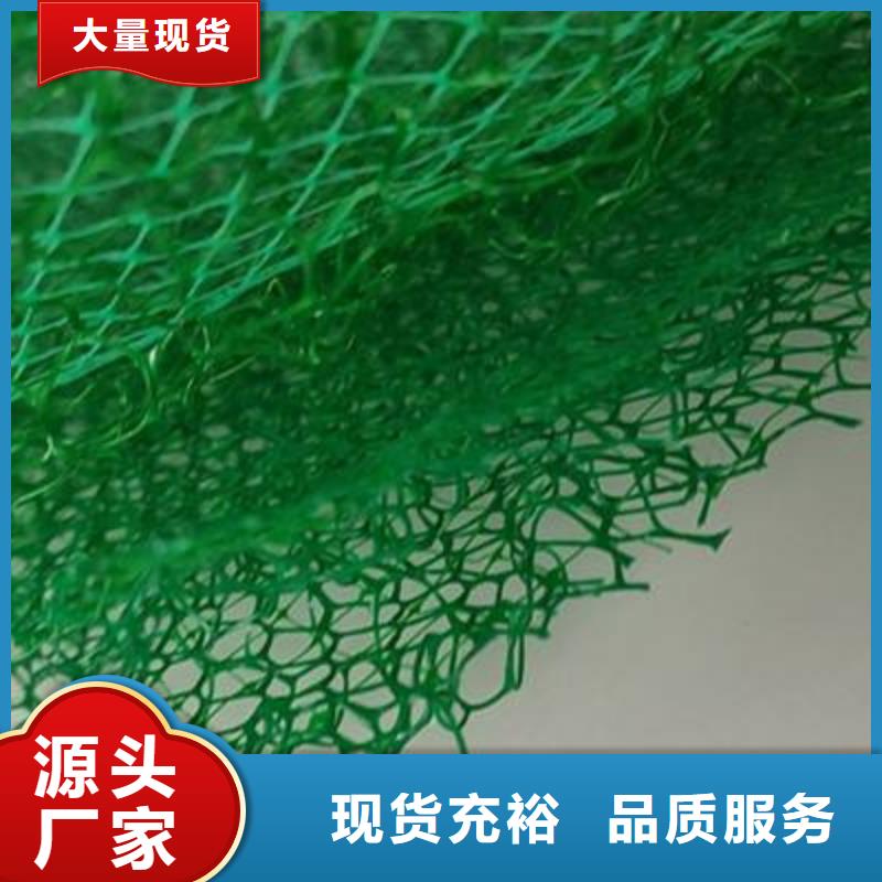 三维植被网 排水板价格有优势