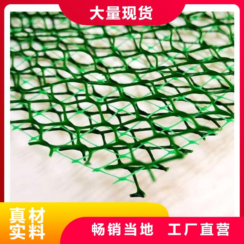 三维植被网 排水板价格有优势