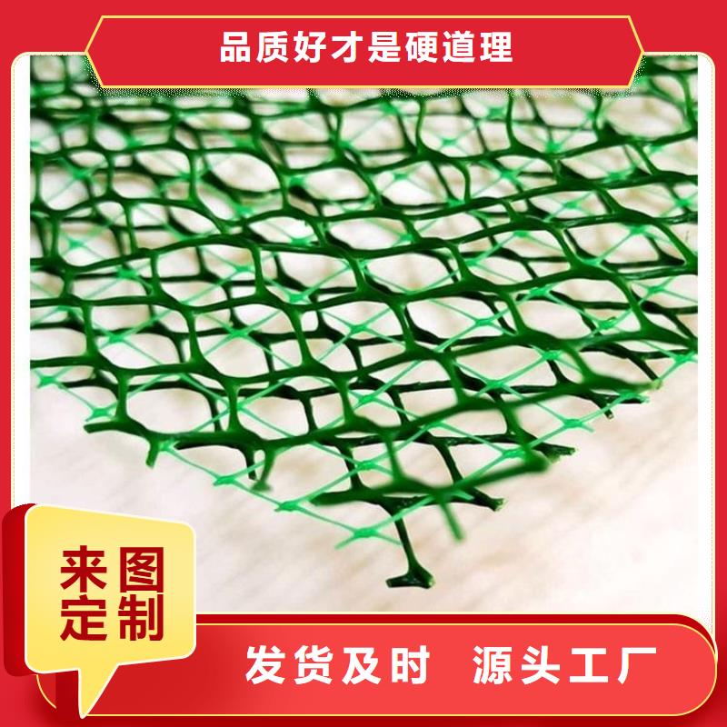 三维植被网 排水板价格有优势
