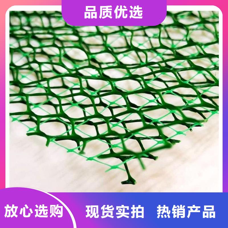 三维植被网 排水板价格有优势