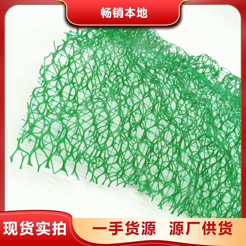 三维植被网 排水板价格有优势