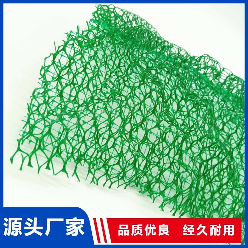 三维植被网 排水板价格有优势