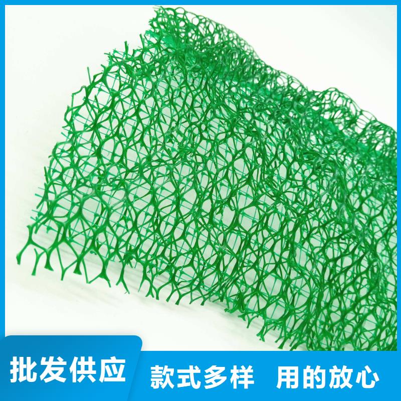 三维植被网 排水板价格有优势