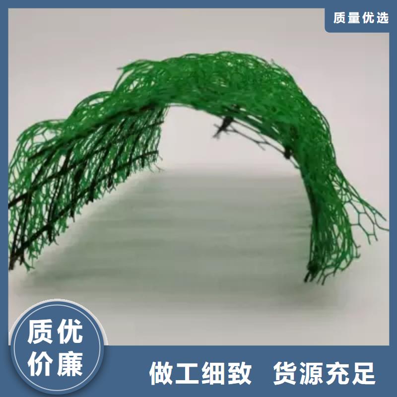 三维植被网 排水板价格有优势
